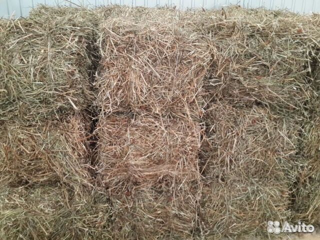 Продаю сено в брикетах