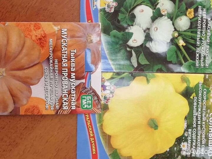 Рассада тыкв, кабачков, патиссон, баклажан
