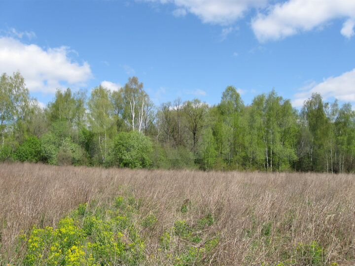 Участок 5,18 га (СНТ, ДНП)