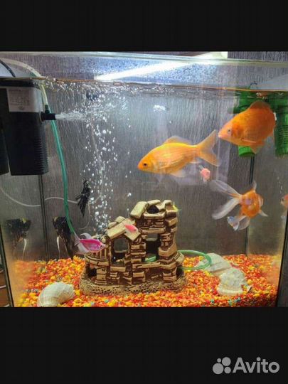 Аквариум