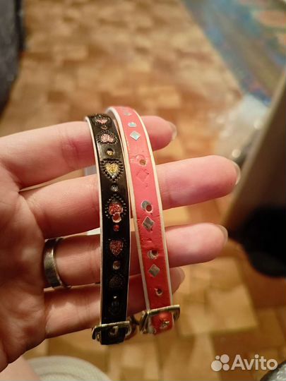 Ошейник для собак мелких пород