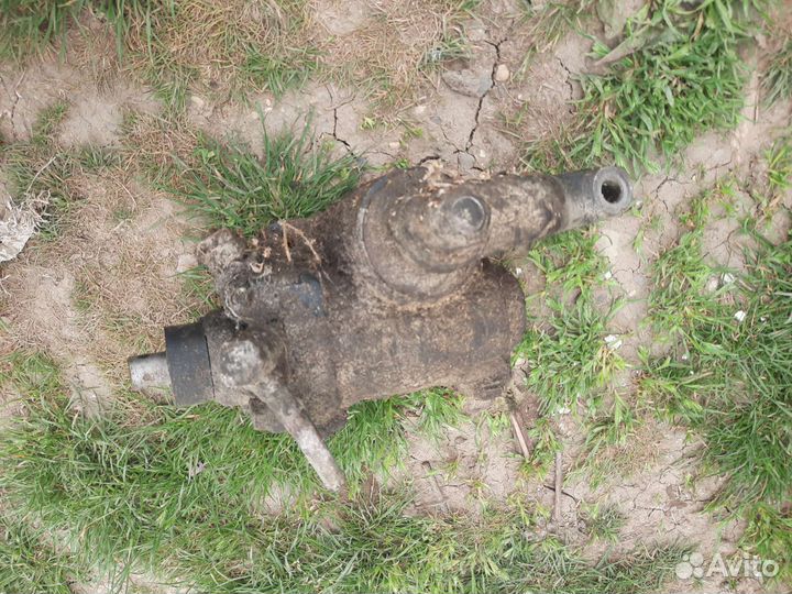 Гур на газель или соболь