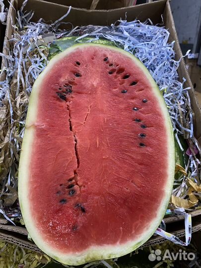 Арбуз