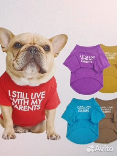 Футболка для собак