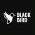 Black Bird SHOP