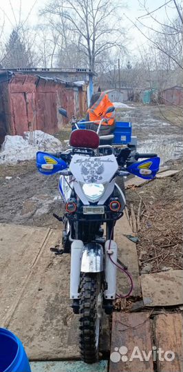 Рейсер 250