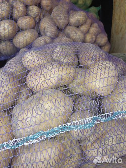 Продам картофель