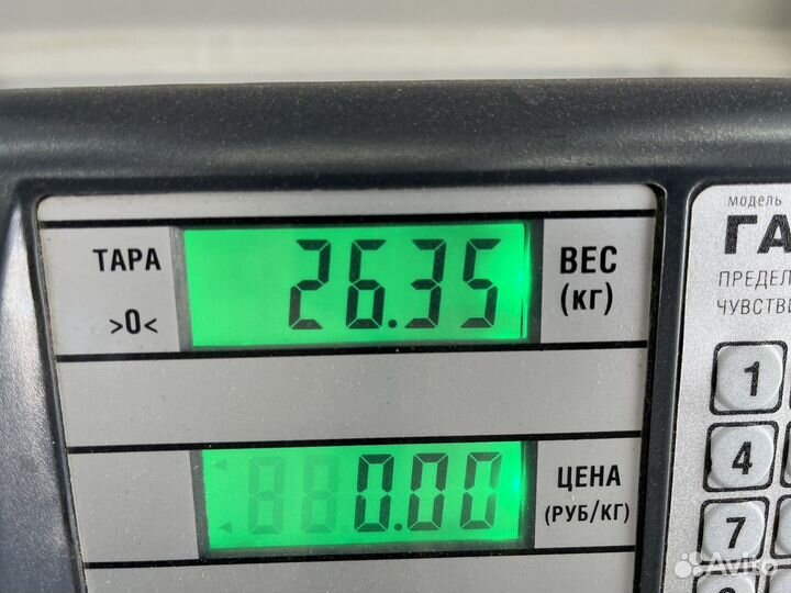 Дверь левая Man TGA, Man TGL, Man TGS