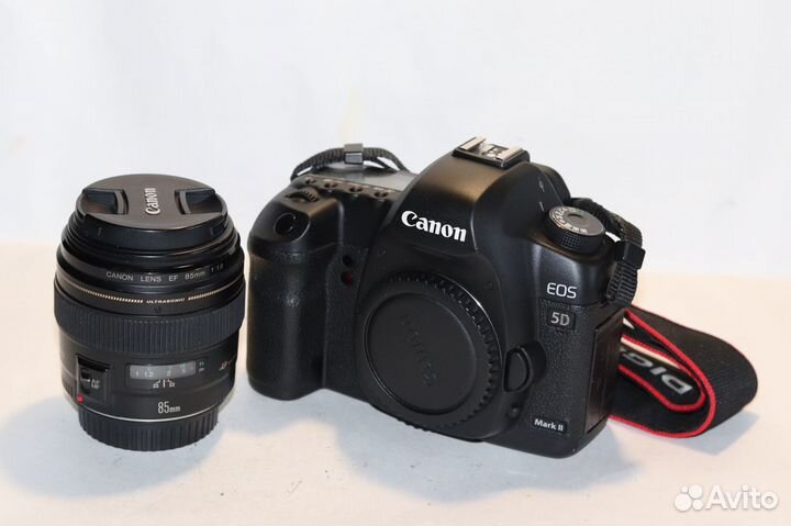 Canon 5D Mark II + Canon 85 1,8