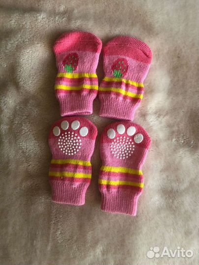 Носки для собак