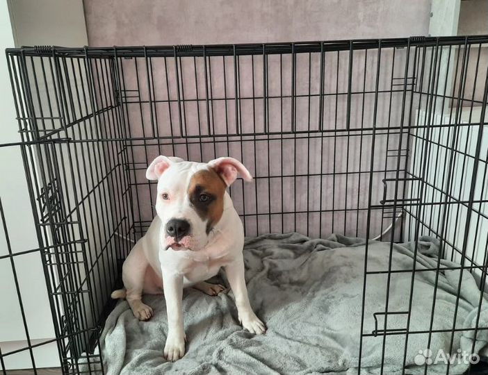 Клетка для собак №5 новая