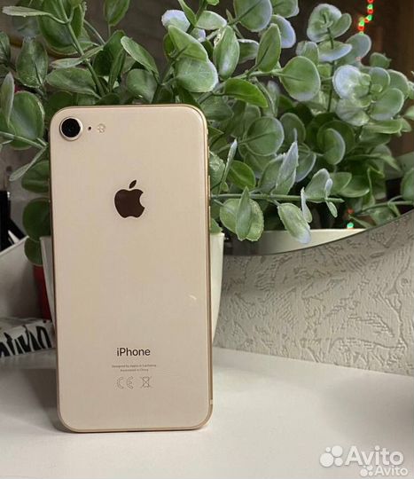 iPhone 8, 64 ГБ
