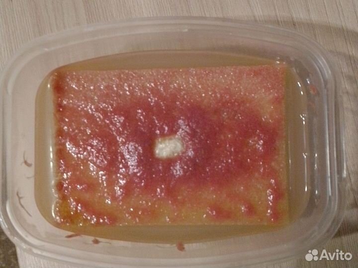 Аулофорус корм для рыбок