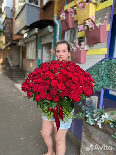 Роза 101
