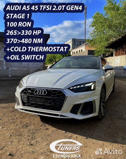Чип тюнинг Etuners VAG BMW MB PSA