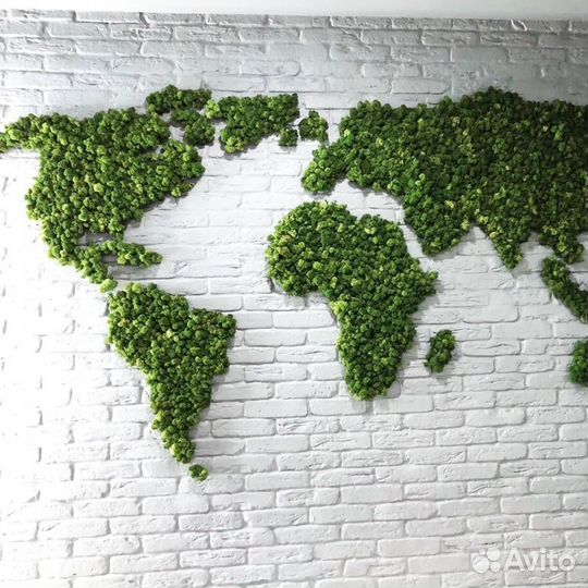 Карта мира из мха в гостиную