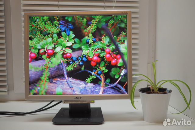 Монитор Acer 1716 A