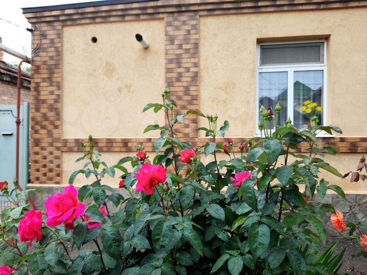 Дом 35 м² на участке 1 сот.