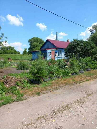 Дом 52 м² на участке 60 сот.