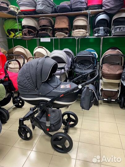 Коляска Adamex