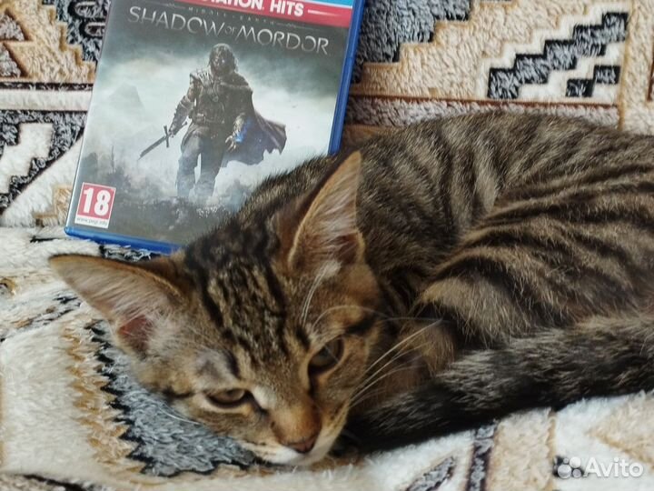 Игры на ps4 б/у/цена в описании