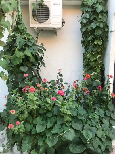 Комната 17 м² в 1-к., 1/1 эт.