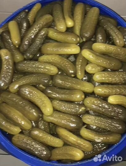 Огурец бочковой соленый