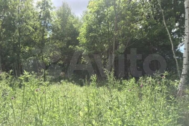 Участок 10 сот. (СНТ, ДНП)