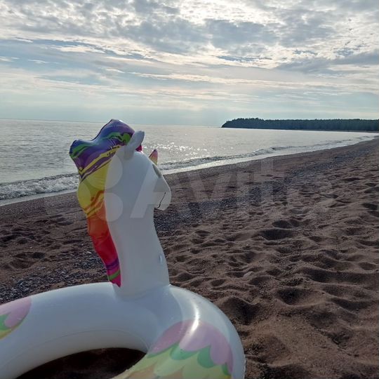 Дом 222 м² на участке 82 сот.