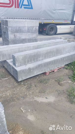 Перегородочная перемычка