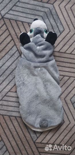 Одежда для маленьких собачек