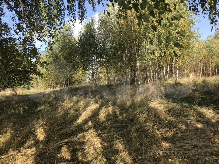 Участок 9,8 га (ИЖС)