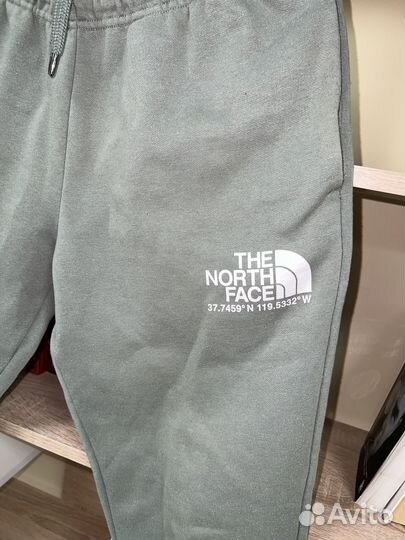 Спортивные штаны the north face