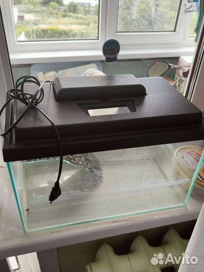 Аквариум для черепах