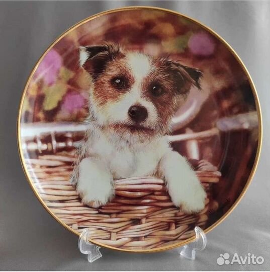Тарелка декоративная Англия коты собаки