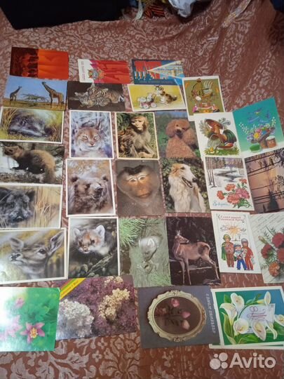 Открытки из СССР