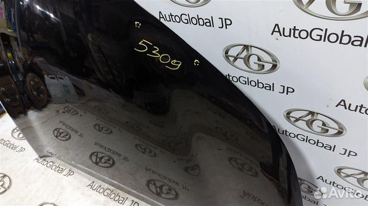 Капот Toyota C-HR