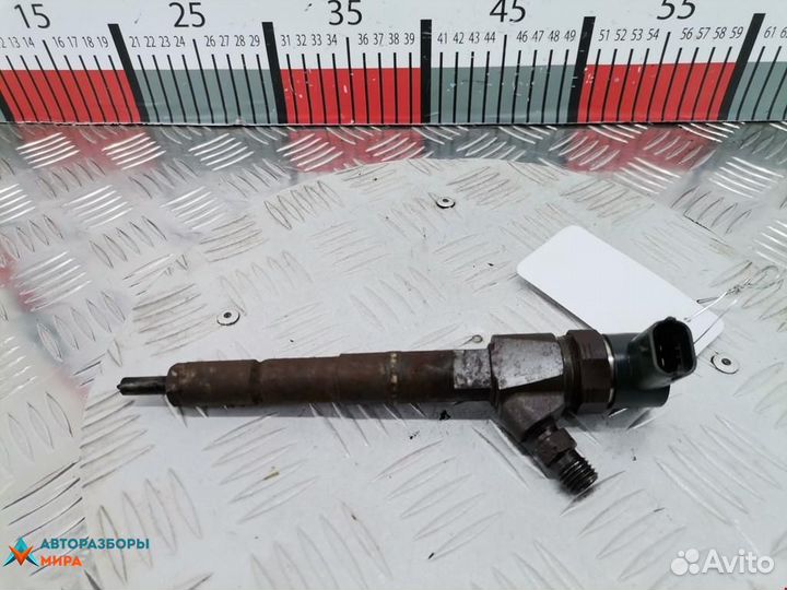 Форсунка Opel Insignia (A) 2010 55566050