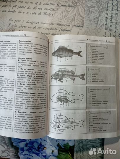 Справочник для подготовки к ОГЭ и ЕГЭ по биологии