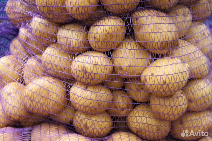 Продам картофель урожай 2023