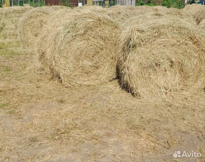 Сено луговое в рулонах