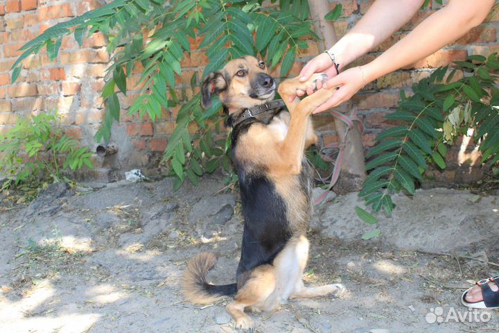 Малышка в поисках мам и пап