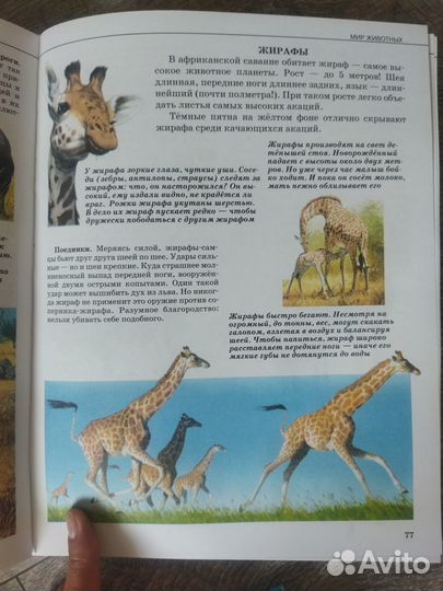 Детская энциклопедия 