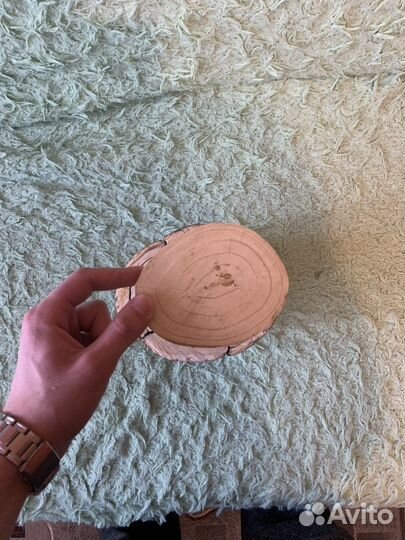 Бивень мамонта