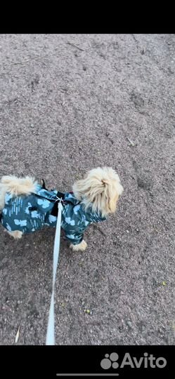 Комбинезон Yoriki для собак пуховик