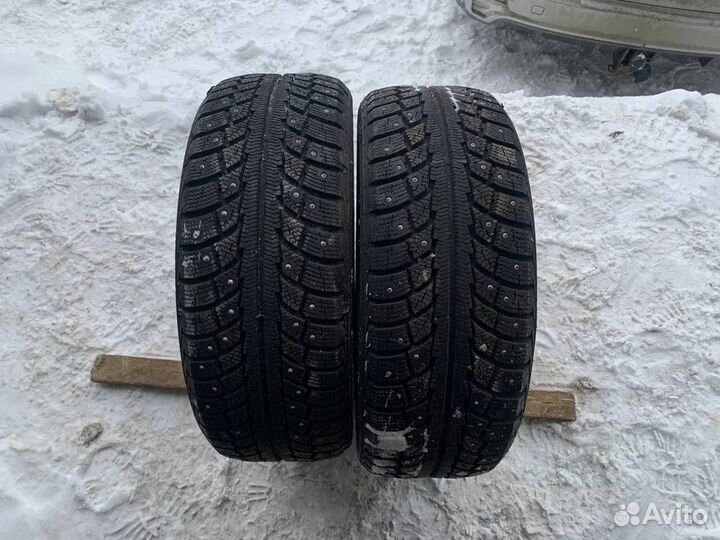 Gislaved Nord Frost 5 205/50 R17 93T