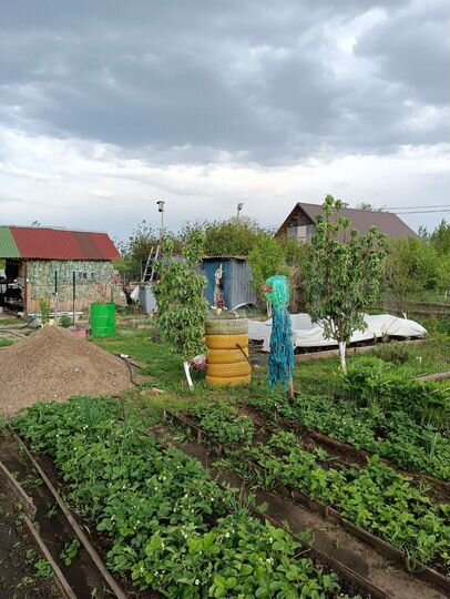 Участок 6 сот. (СНТ, ДНП)