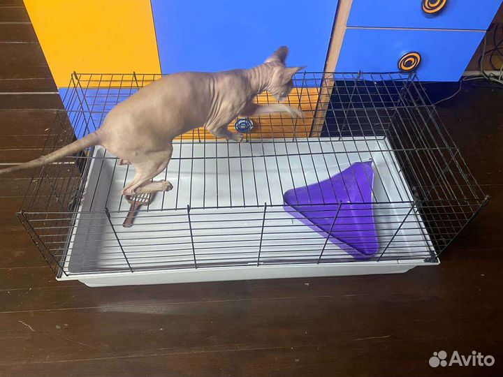 Клетки для кролика, морской свинки и хомячков