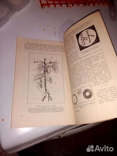 Брошюра по медицине