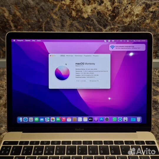 Apple MacBook 12 retina 2016